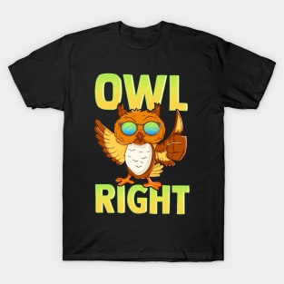 Funny Owl Right Thumbs Up Hippie Cute Alright Pun T-Shirt